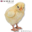 『全品SALEクーポン発行中』ウービア Woobia 【右向きのひよこ】 (幅7.5cm×奥行7.5cm×高さ9.8cm)かわいい 置物 リアル 動物 おしゃれ...