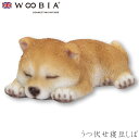 『全品SALEクーポン』ウービア Woobia 【うつ伏せ寝豆しば】 (幅10cm×奥行6cm×高さ3.7cm)犬 いぬ イヌ ドッグ dog かわいい 置物 リアル 動物 おしゃれ インテリア ガーデニング イギリス 人形 アニマルオーナメント ペット #4582756135596