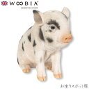 『全品SALEクーポン発行中』ウービア Woobia 【お座りスポット豚】 (幅19cm×奥行8.3cm×高さ15cm)かわいい 置物 リアル 動物 おしゃれ ...