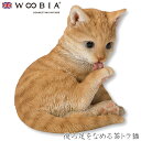 『全品SALEクーポン発行中』ウービア Woobia 【後ろ足をなめる茶トラ猫】 (幅13.5cm×奥行13.5cm×高さ14cm)猫 ねこ ネコ cat かわ...