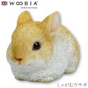 『全品SALEクーポン発行中』ウービア Woobia 【しゃがむウサギ】 (幅10.5cm×奥行7cm×高さ6.5cm)かわいい 置物 リアル 動物 おしゃれ ...