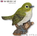 『全品SALEクーポン発行中』ウービア Woobia 【ロビン鳥 マグネット】 (幅7.5cm×奥行1.7cm×高さ6cm)かわいい 置物 リアル 動物 おしゃ...