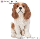 『GW限定SALEクーポン』【Woobia(ウービア)】【上を向くキャバリア (小)】 (幅7.6cm×奥行5.7cm×高さ9.2cm)かわいい 置物 リアル ...