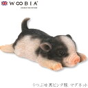 『全品SALEクーポン』ウービア Woobia 【うつぶせ黒ピンク豚 マグネット】 (幅12.8cm×奥行6.7cm×高さ5cm)かわいい 置物 リアル 動物 ...