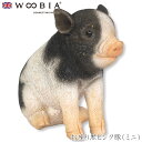 『全品SALEクーポン発行中』ウービア Woobia 【お座り黒ピンク豚(ミニ)】 (幅10.3cm×奥行4.6cm×高さ8.5cm)かわいい 置物 リアル 動...