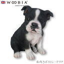 『SALEクーポン』【Woobia(ウービア)】【右向きボストン・テリア】 (幅15cm×奥行13.7cm×高さ16.2cm)犬 いぬ イヌ ドッグ dog か...