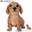 『SALEクーポン』【Woobia(ウービア)】【頭を上げるダックスフンド】 (幅11.5cm×奥行7.5cm×高さ11cm)犬 いぬ イヌ ドッグ dog かわいい 置物 リアル 動物 おしゃれ インテリア ガーデニング イギリス 人形 オーナメント ペット #4582756130751(3)