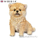 『全品SALEクーポン発行中』ウービア Woobia 【頭を上げるポメラニアン】 (幅10cm×奥行7cm×高さ11cm)犬 いぬ イヌ ドッグ dog かわい...