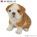 『SALEクーポン』【Woobia(ウービア)】【お座りブルドッグ】 (幅16cm×奥行11.2cm×高さ14.5cm)犬 いぬ イヌ ドッグ dog かわいい...
