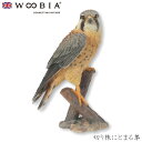 『全品SALEクーポン発行中』ウービア Woobia 【切り株にとまる隼】 (幅20.5cm×奥行12.3cm×高さ31cm)かわいい 置物 リアル 動物 おし...