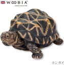 『全品SALEクーポン』ウービア Woobia 【ホシガメ】 (幅11cm×奥行8cm×高さ5.5cm)かわいい 置物 リアル 動物 おしゃれ インテリア ガー...