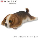 『全品SALEクーポン発行中』ウービア Woobia 【うつぶせビーグル マグネット】 (幅13cm×奥行6.7cm×高さ4.2cm)犬 いぬ イヌ ドッグ か...