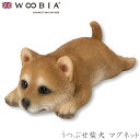 『全品SALEクーポン発行中』ウービア Woobia 【うつぶせ柴犬 マグネット】 (幅13cm×奥行6cm×高さ4.5cm)犬 いぬ イヌ ドッグ dog か...