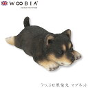 『全品SALEクーポン発行中』ウービア Woobia 【うつぶせ黒柴犬 マグネット】 (幅13cm×奥行6cm×高さ4.5cm)犬 いぬ イヌ ドッグ dog ...