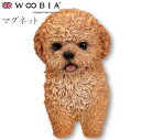 『全品SALEクーポン発行中』ウービア Woobia 【プードル マグネット】 (幅5cm×奥行2.7cm×高さ8.5cm)犬 いぬ イヌ ドッグ dog かわ...