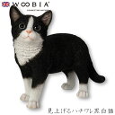『全品SALEクーポン』ウービア Woobia 【見上げるハチワレ黒白猫】 (幅33.5cm×奥行14.5cm×高さ26cm)猫 ねこ ネコ cat かわいい ...