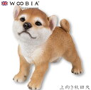 『SALEクーポン』【Woobia(ウービア)】【上向き秋田犬】 (幅19cm×奥行11cm×高さ17cm)犬 いぬ イヌ ドッグ dog かわいい 置物 リア...
