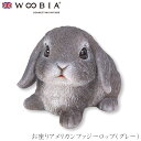 『全品SALEクーポン』ウービア Woobia 【お座りアメリカンファジーロップ(グレー)】 (幅10.7cm×奥行7.7cm×高さ7.5cm)かわいい 置物 ...