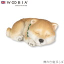 『全品SALEクーポン』ウービア Woobia 【横向き寝豆しば】 (幅8.8cm×奥行5.5cm×高さ4cm)犬 いぬ イヌ ドッグ dog かわいい 置物 リアル 動物 おしゃれ インテリア ガーデニング イギリス 人形 アニマルオーナメント ペット #4582756130560