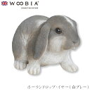『全品SALEクーポン』ウービア Woobia 【ホーランドロップ・イヤー(白グレー)】 (幅22.2cm×奥行13.8cm×高さ14.5cm)かわいい 置物 ...