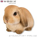 『全品SALEクーポン発行中』ウービア Woobia 【ホーランドロップ・イヤー ブラウン (小)】 (幅16.5cm×奥行10cm×高さ10.5cm)かわいい...