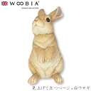 『全品SALEクーポン』ウービア Woobia 【見上げて立つベージュ白ウサギ】 (幅15.5cm×奥行13cm×高さ25.5cm)かわいい 置物 リアル 動物...