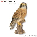 『全品SALEクーポン発行中』ウービア Woobia 【ミニチョウゲンボウ】 (幅7cm×奥行5cm×高さ11.5cm)かわいい 置物 リアル 動物 おしゃれ ...