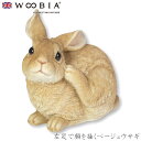 『全品SALEクーポン発行中』ウービア Woobia 【左足で顔を掻くベージュウサギ】 (幅35cm×奥行16.7cm×高さ23cm)かわいい 置物 リアル 動...