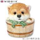 『スーパーSALEクーポン発行中』【Woobia(ウービア)】【豆しばの桶貯金箱】 (幅10.5cm×奥行9cm×高さ10cm)犬 いぬ イヌ ドッグ dog ...