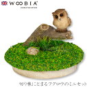 『全品SALEクーポン』【Woobia(ウービア)】【切り株にとまるフクロウのミニセット】 (幅6cm×奥行6cm×高さ4.5cm)かわいい 置物 リアル 動物...