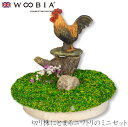 『全品SALEクーポン発行中』ウービア Woobia 【切り株にとまるニワトリのミニセット】 (幅6cm×奥行6cm×高さ5.5cm)かわいい 置物 リアル 動...