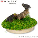 『全品SALEクーポン』ウービア Woobia 【二羽のカラスのミニセット】 (幅6cm×奥行6cm×高さ4.8cm)かわいい 置物 リアル 動物 おしゃれ イ...