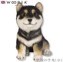 『全品SALEクーポン』ウービア Woobia 【黒柴の子犬(小)】 (幅11cm×奥行8.5cm×高さ12.5cm)犬 いぬ イヌ ドッグ dog かわいい ...