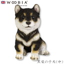 『SALEクーポン』【Woobia(ウービア)】【黒柴の子犬(中)】 (幅17.5cm×奥行13.7cm×高さ20.3cm)犬 いぬ イヌ ドッグ dog かわ...