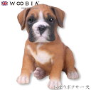 『GW限定SALEクーポン』【Woobia(ウービア)】【お座りボクサー犬】 (幅15.6cm×奥行11.5cm×高さ15.9cm)かわいい 置物 リアル 動物...