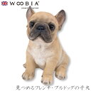『GW限定SALEクーポン』【Woobia(ウービア)】【見つめるフレンチ・ブルドッグの子犬】 (幅14cm×奥行10.8cm×高さ15.3cm)かわいい 置物...