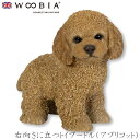 『全品SALEクーポン発行中』ウービア Woobia 【右向きに立つトイプードル(アプリコット)】 (幅17.5cm×奥行10cm×高さ16cm)犬 いぬ イヌ...