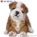 『全品SALEクーポン発行中』ウービア Woobia 【お座りうたた寝ブルドッグ】 (幅16.2cm×奥行16.2cm×高さ17.5cm)犬 いぬ イヌ ドッグ...