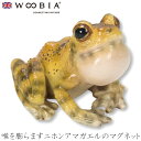 『楽天スーパーSALE 在庫一掃 割引価格』ウービア Woobia 【喉を膨らますニホンアマガエルのマグネット】 (幅3.9cm×奥行3.5cm×高さ3cm)か...