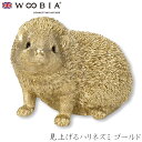 『全品SALEクーポン発行中』ウービア Woobia 【見上げるハリネズミ ゴールド】 (幅22.5cm×奥行15.5cm×高さ15.6cm)かわいい 置物 リ...