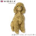 『全品SALEクーポン発行中』ウービア Woobia 【お座りプードル ゴールド(中)】 (幅27cm×奥行15cm×高さ32.5cm)犬 いぬ イヌ ドッグ ...