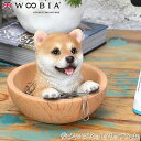 『全品SALEクーポン発行中』ウービア Woobia 【柴犬マグネットクリップ入れ】 (幅11.5cm×奥行11.5cm×高さ10cm)犬 いぬ イヌ ドッグ ...