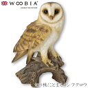 『全品SALEクーポン発行中』ウービア Woobia 【切り株にとまるメンフクロウ】 (幅12.5cm×奥行8cm×高さ17.8cm)かわいい 置物 リアル 動...