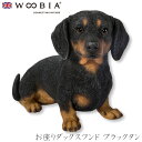 『SALEクーポン』【Woobia(ウービア)】【お座りダックスフンド ブラックタン】 (幅22.5cm×奥行9cm×高さ14cm)犬 いぬ イヌ ドッグ do...