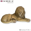 『SALEクーポン』【Woobia(ウービア)】【横たわるライオン】 (幅50cm×奥行28.5cm×高さ25cm)かわいい 置物 リアル 動物 おしゃれ イン...