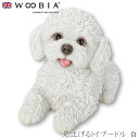 『全品SALEクーポン』ウービア Woobia 【見上げるトイプードル 白】 (幅16.5cm×奥行8cm×高さ11cm)犬 いぬ イヌ ドッグ dog かわい...