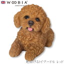 『全品SALEクーポン』ウービア Woobia 【見上げるトイプードル レッド】 (幅16.5cm×奥行8cm×高さ11cm)犬 いぬ イヌ ドッグ dog か...