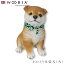 『SALEクーポン発行中』【Woobia(ウービア)】【おかえり豆柴犬(大)】 (幅16.5cm×奥行11.5cm×高さ7.8cm)犬 いぬ イヌ ドッグ dog かわいい 置物 リアル 動物 おしゃれ インテリア ガーデニング イギリス 人形 オーナメント ペット #4582756147124 4,400円