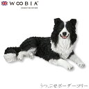『全品SALEクーポン発行中』ウービア Woobia 【うつぶせボーダーコリー】 (幅75cm×奥行43cm×高さ36cm)犬 いぬ イヌ ドッグ dog かわいい 置物 リアル おしゃれ インテリア ガーデニング イギリス 人形 アニマルオーナメント ペット #4582756142327(3)