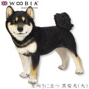 『全品SALEクーポン』ウービア Woobia 【左向きに立つ 黒柴犬(大)】 (幅49cm×奥行25.5cm×高さ41.5cm)犬 いぬ イヌ ドッグ dog...
